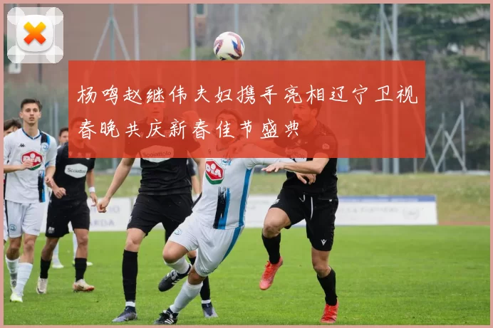 杨鸣赵继伟夫妇携手亮相辽宁卫视春晚共庆新春佳节盛典