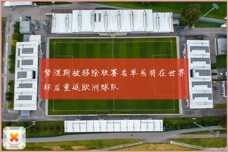 努涅斯被移除联赛名单或将在世界杯后重返欧洲球队