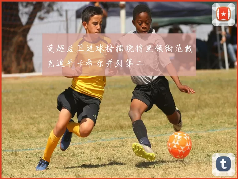 英超后卫进球榜揭晓特里领衔范戴克追平卡希尔并列第二